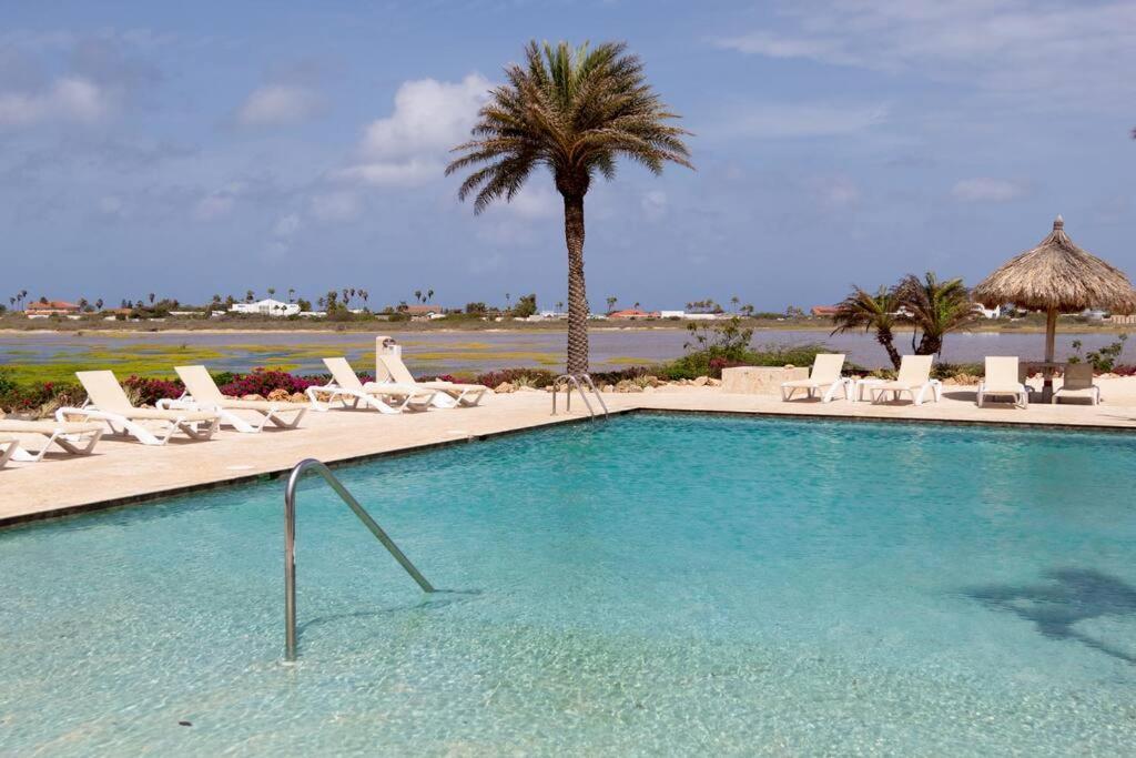 New! Cozy 1 Bedroom Condo- Gold Coast, Noord Aruba Palm Beach Bagian luar foto