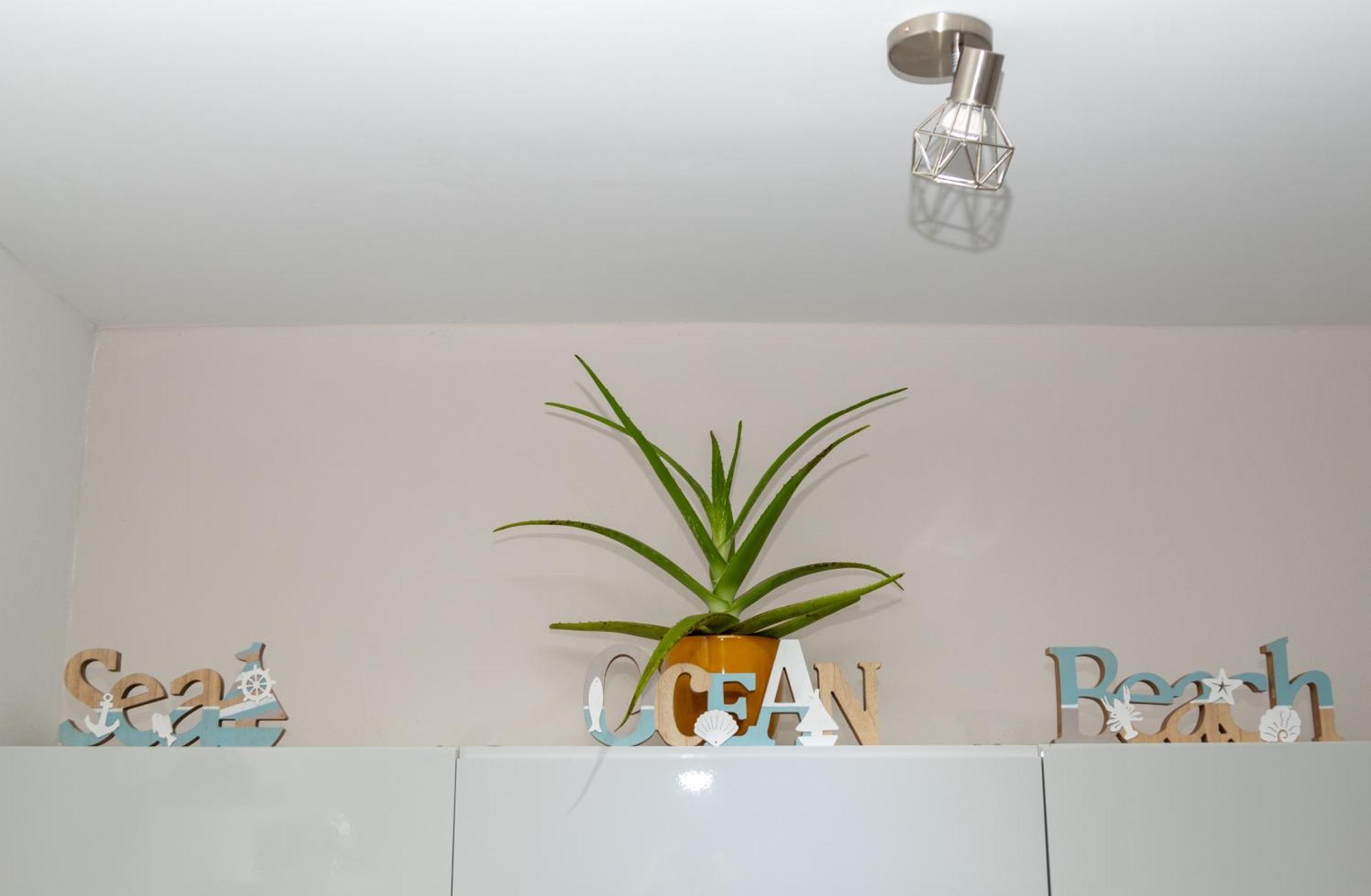 New! Cozy 1 Bedroom Condo- Gold Coast, Noord Aruba Palm Beach Bagian luar foto